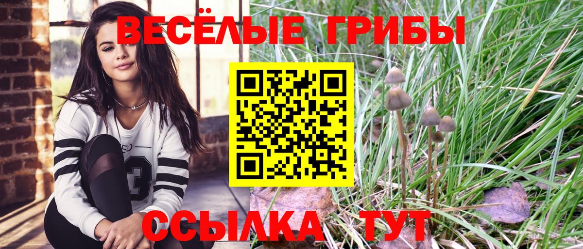 Железногорск  где купить наркотик  Вход с VPN  Псилоцибиновые грибы GOLDEN TEACHER 